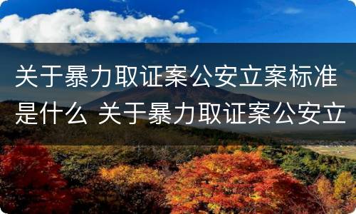 关于暴力取证案公安立案标准是什么 关于暴力取证案公安立案标准是什么