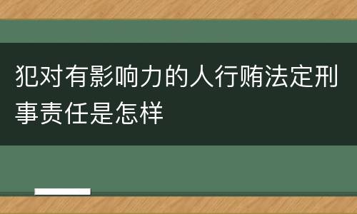 犯对有影响力的人行贿法定刑事责任是怎样