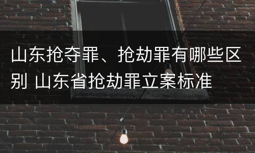 山东抢夺罪、抢劫罪有哪些区别 山东省抢劫罪立案标准