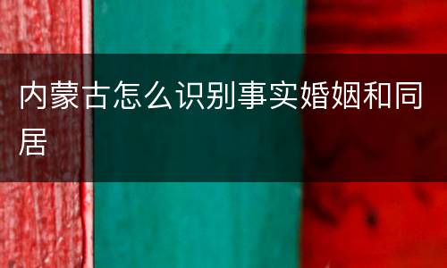 内蒙古怎么识别事实婚姻和同居