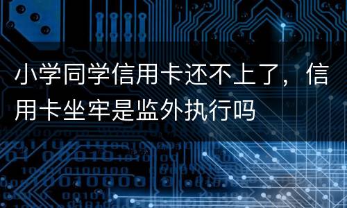 小学同学信用卡还不上了，信用卡坐牢是监外执行吗