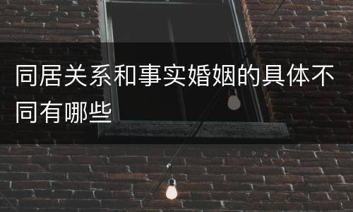 同居关系和事实婚姻的具体不同有哪些