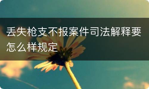 丢失枪支不报案件司法解释要怎么样规定