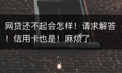 网贷还不起会怎样！请求解答！信用卡也是！麻烦了