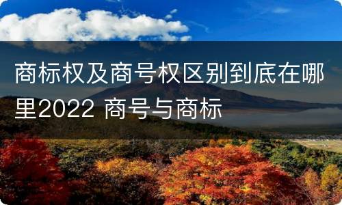 商标权及商号权区别到底在哪里2022 商号与商标