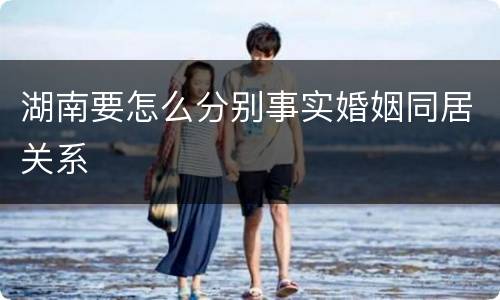 湖南要怎么分别事实婚姻同居关系