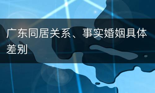 广东同居关系、事实婚姻具体差别