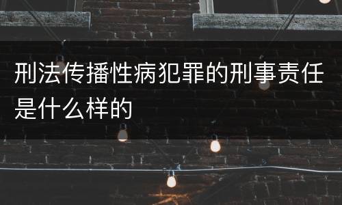 刑法传播性病犯罪的刑事责任是什么样的