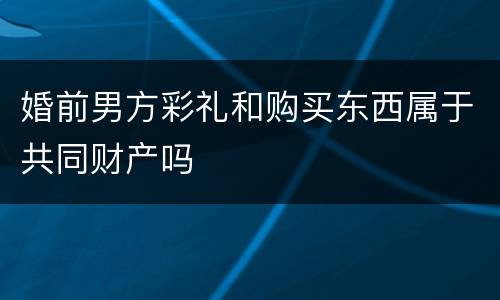 婚前男方彩礼和购买东西属于共同财产吗