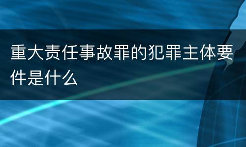 重大责任事故罪的犯罪主体要件是什么