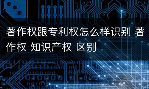 著作权跟专利权怎么样识别 著作权 知识产权 区别