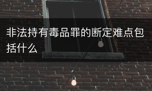 非法持有毒品罪的断定难点包括什么