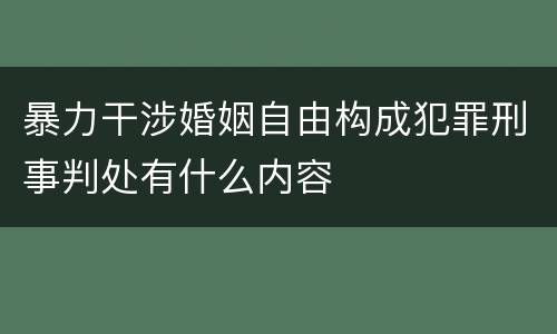 暴力干涉婚姻自由构成犯罪刑事判处有什么内容