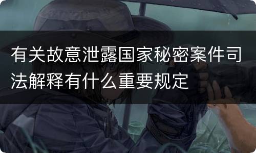 有关故意泄露国家秘密案件司法解释有什么重要规定