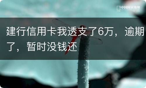 建行信用卡我透支了6万，逾期了，暂时没钱还