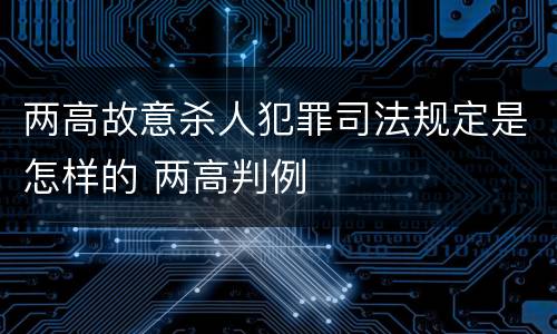 两高故意杀人犯罪司法规定是怎样的 两高判例