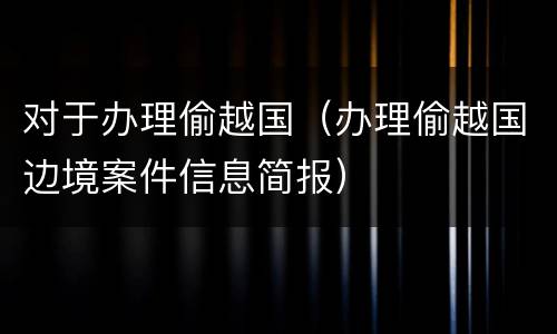 对于办理偷越国（办理偷越国边境案件信息简报）