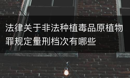 法律关于非法种植毒品原植物罪规定量刑档次有哪些