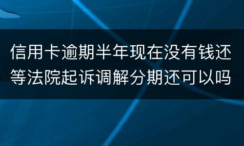 信用卡逾期半年现在没有钱还等法院起诉调解分期还可以吗