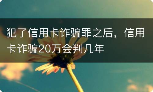 犯了信用卡诈骗罪之后，信用卡诈骗20万会判几年