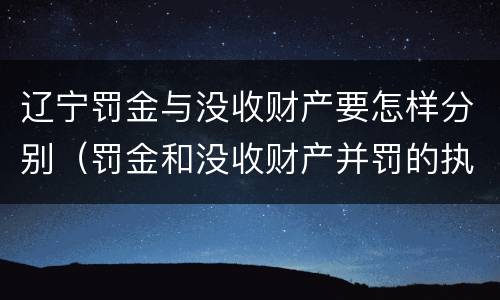 辽宁罚金与没收财产要怎样分别（罚金和没收财产并罚的执行顺序）