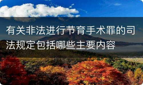 有关非法进行节育手术罪的司法规定包括哪些主要内容