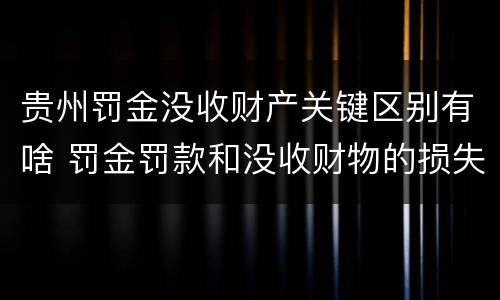 贵州罚金没收财产关键区别有啥 罚金罚款和没收财物的损失是指什么