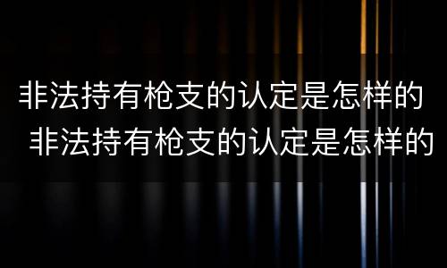 非法持有枪支的认定是怎样的 非法持有枪支的认定是怎样的处罚