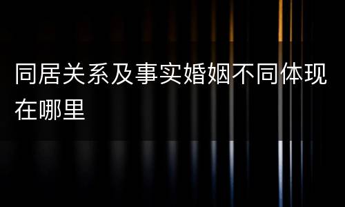 同居关系及事实婚姻不同体现在哪里