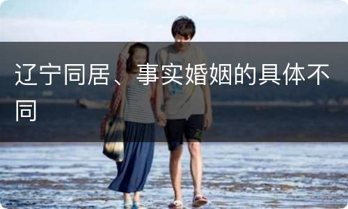 辽宁同居、事实婚姻的具体不同