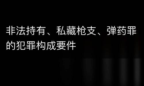 非法持有、私藏枪支、弹药罪的犯罪构成要件