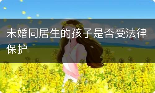 未婚同居生的孩子是否受法律保护