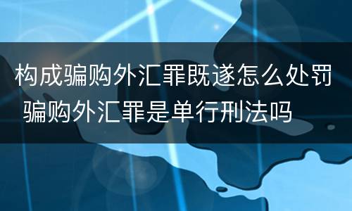 构成骗购外汇罪既遂怎么处罚 骗购外汇罪是单行刑法吗