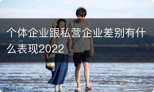 个体企业跟私营企业差别有什么表现2022