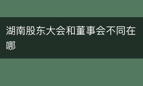 湖南股东大会和董事会不同在哪