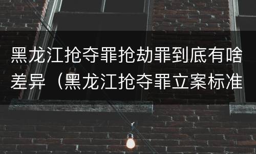 黑龙江抢夺罪抢劫罪到底有啥差异（黑龙江抢夺罪立案标准）