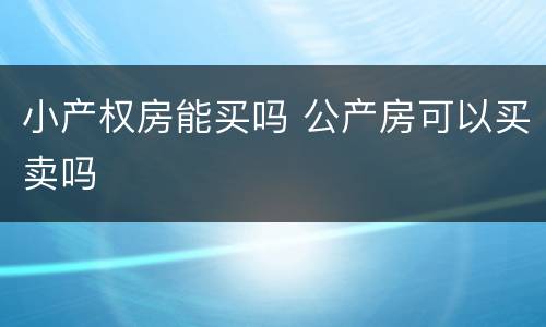 小产权房能买吗 公产房可以买卖吗