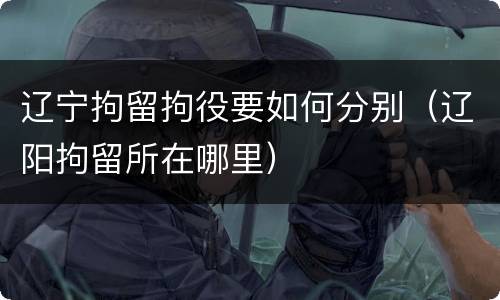 辽宁拘留拘役要如何分别（辽阳拘留所在哪里）