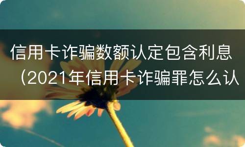 信用卡诈骗数额认定包含利息（2021年信用卡诈骗罪怎么认定）