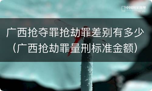 广西抢夺罪抢劫罪差别有多少（广西抢劫罪量刑标准金额）