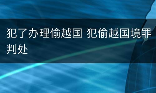 犯了办理偷越国 犯偷越国境罪判处