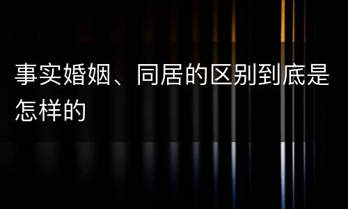 事实婚姻、同居的区别到底是怎样的