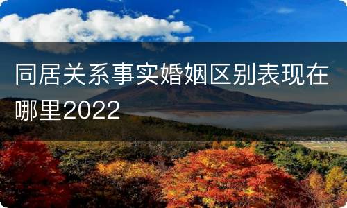 同居关系事实婚姻区别表现在哪里2022