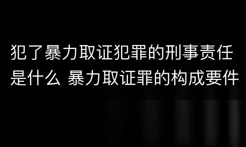 犯了暴力取证犯罪的刑事责任是什么 暴力取证罪的构成要件