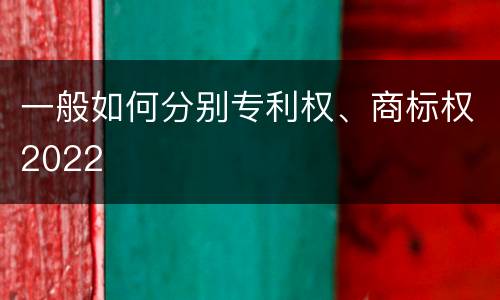 一般如何分别专利权、商标权2022