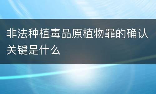 非法种植毒品原植物罪的确认关键是什么