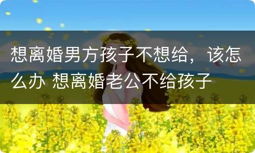 想离婚男方孩子不想给，该怎么办 想离婚老公不给孩子