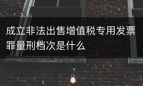 成立非法出售增值税专用发票罪量刑档次是什么