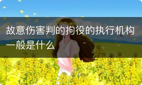 故意伤害判的拘役的执行机构一般是什么