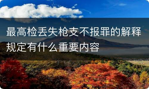 最高检丢失枪支不报罪的解释规定有什么重要内容